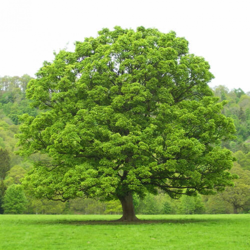 1463-й день заступництва за Україну!