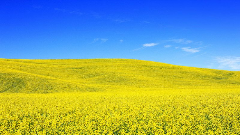 1461-й день заступництва за Україну!