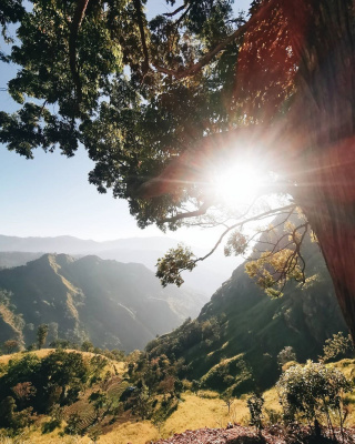1435-й день заступництва за Україну!