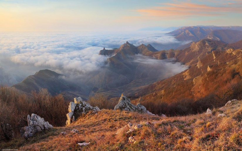 1477-й день заступництва за Україну!