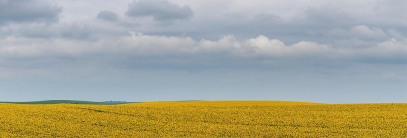 905-й день заступництва за Україну!