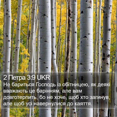 804-й день заступництва за Україну!