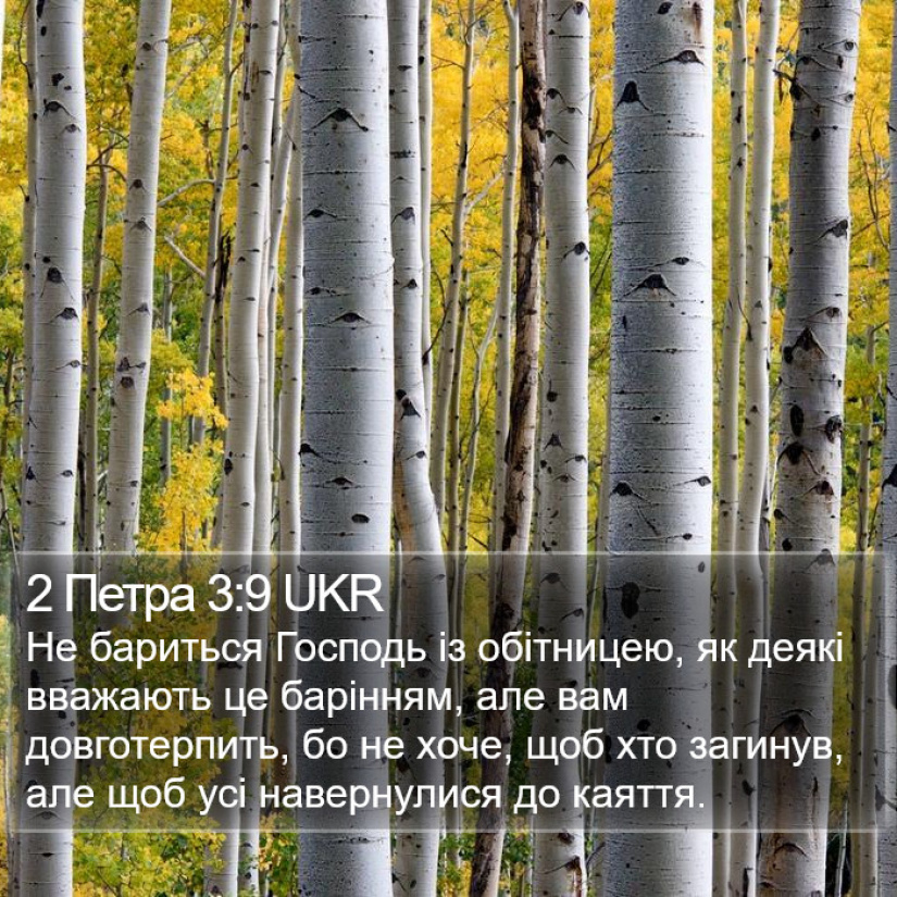 804-й день заступництва за Україну!