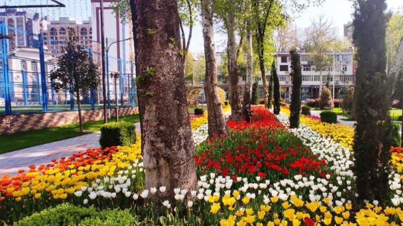 960-й день заступництва за Україну!